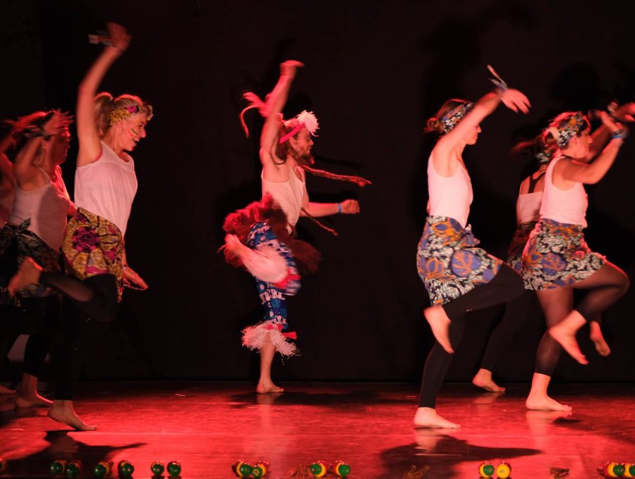 Danses africaines - mandingues