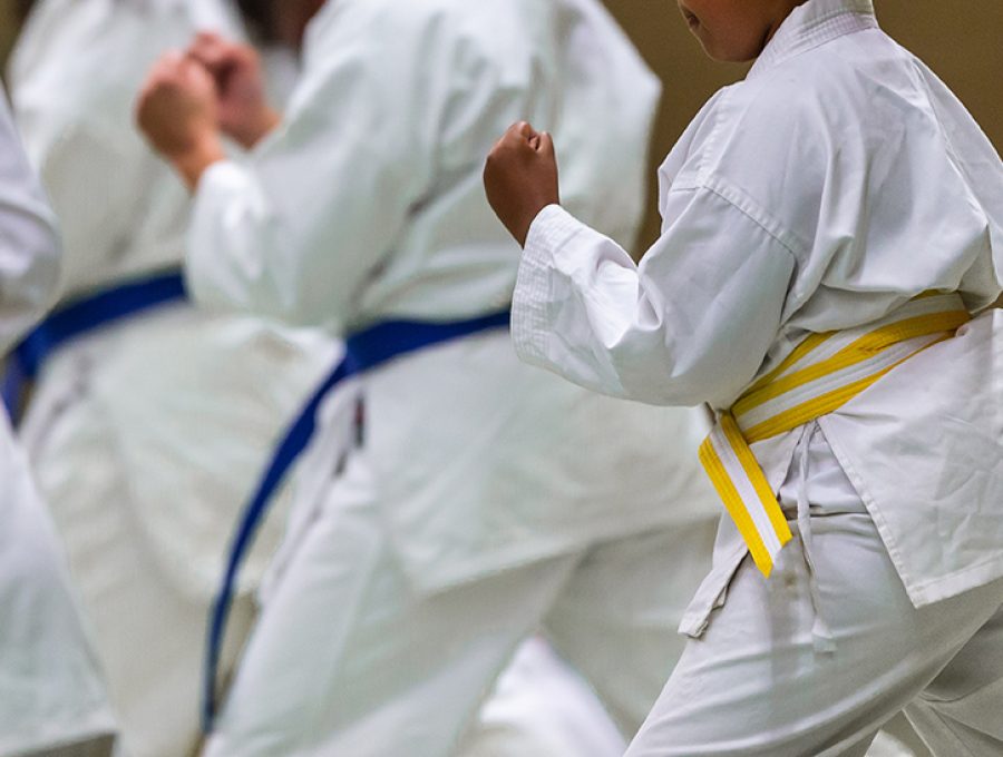 Éveil judo