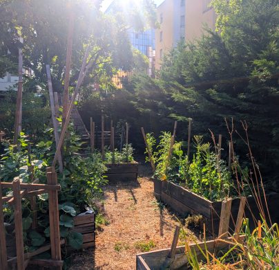 Les Rancy - Agenda - Soirée-d_ouverture-du-jardin