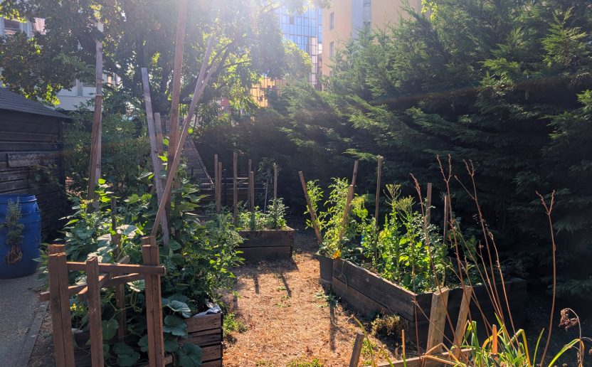 Les Rancy - Agenda - Soirée-d_ouverture-du-jardin