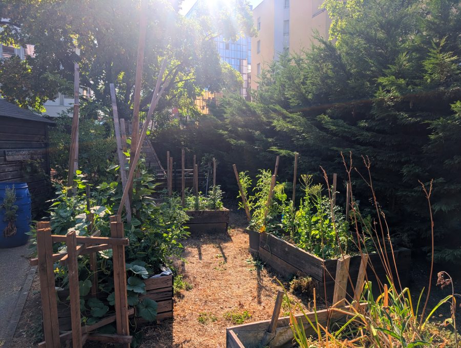 Les Rancy - Agenda - Soirée-d_ouverture-du-jardin