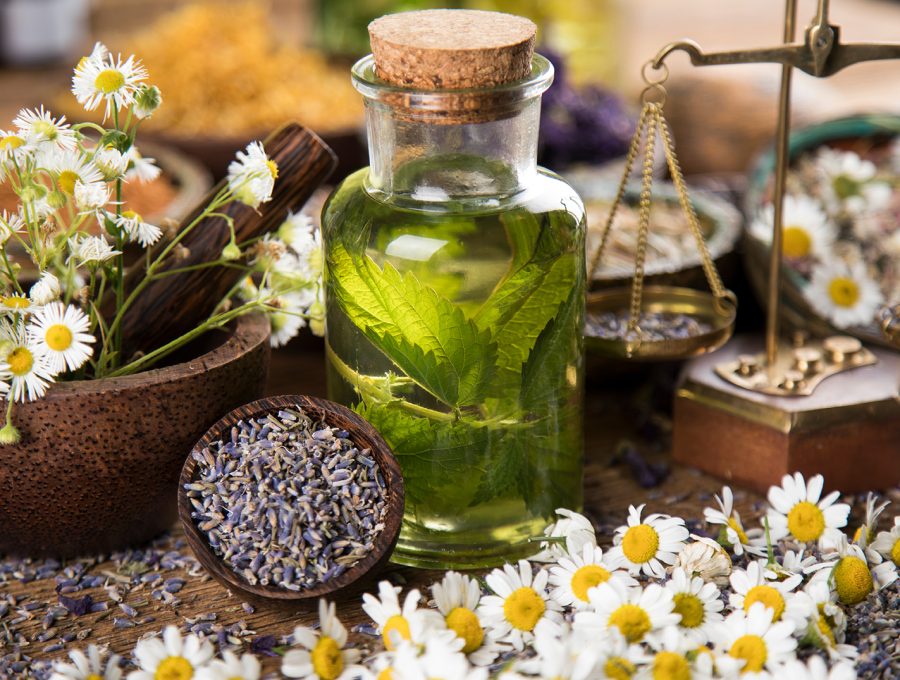 Vivre avec les plantes